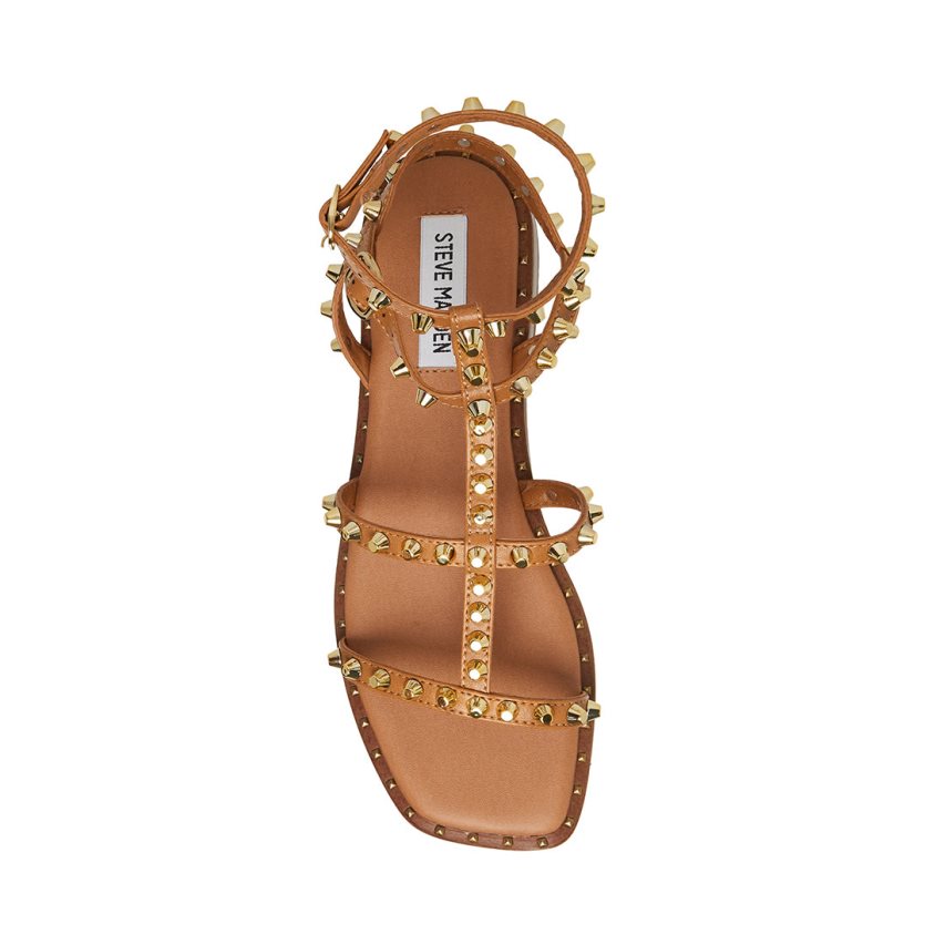 Brown Steve Madden Sunnie Women's Flat Sandals | PH 7524WXL